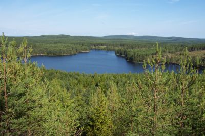 Der Tangsjärn im Glaskogen Naturreservat