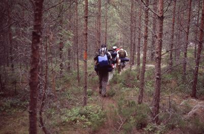 Auf schmalen Wegen durch den Wald