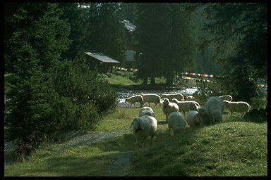 Reintalangerhütte